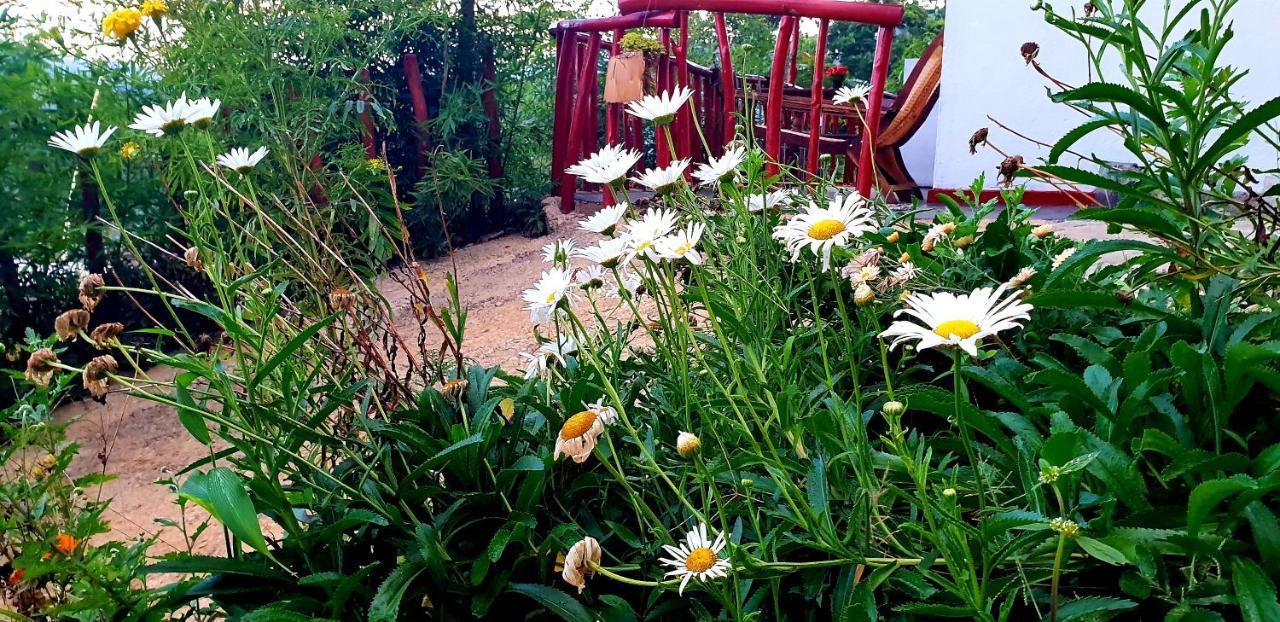 Bed and Breakfast Adannz Ella Exterior foto